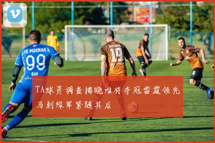 TA球员调查揭晓谁将夺冠雷霆领先马刺绿军紧随其后
