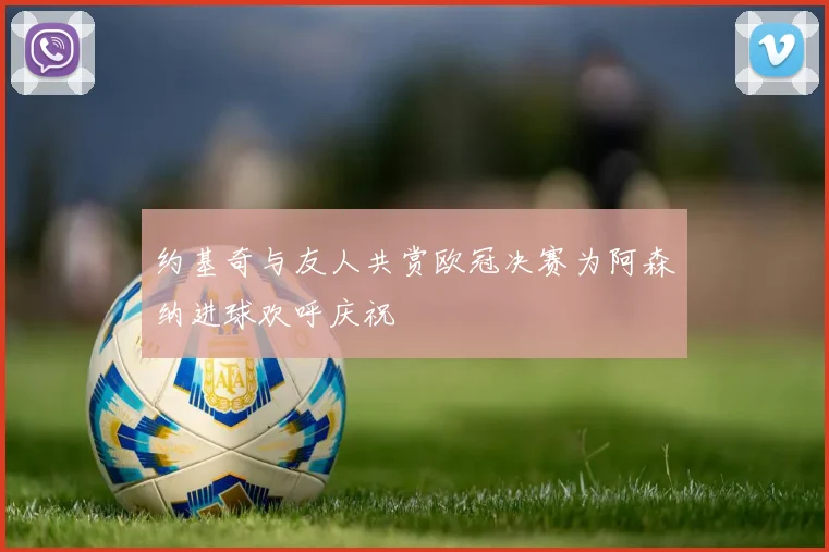 约基奇与友人共赏欧冠决赛为阿森纳进球欢呼庆祝
