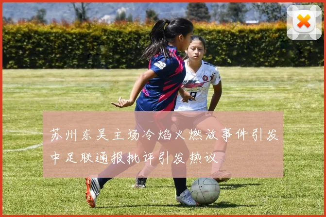 苏州东吴主场冷焰火燃放事件引发中足联通报批评引发热议