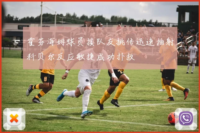霍芬海姆球员接队友挑传迅速抽射科贝尔反应敏捷成功扑救